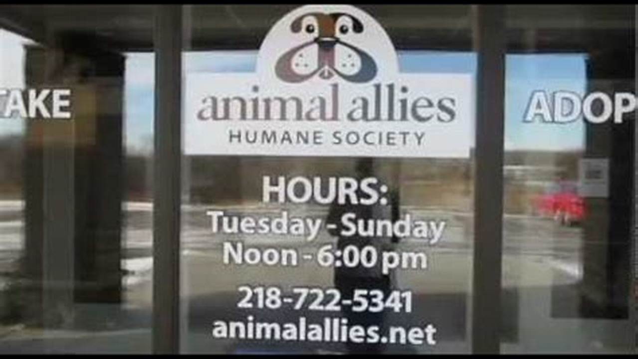 Adopt a Devoted Companion: Animal Allies Humane Society