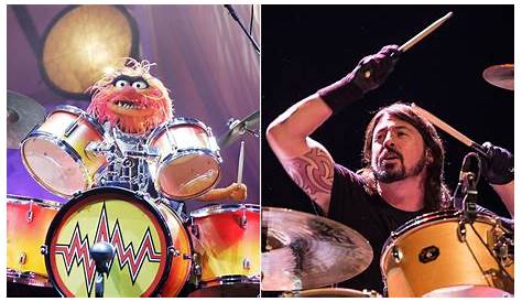 Animal Muppet Vs Dave Grohl - WANIMALE