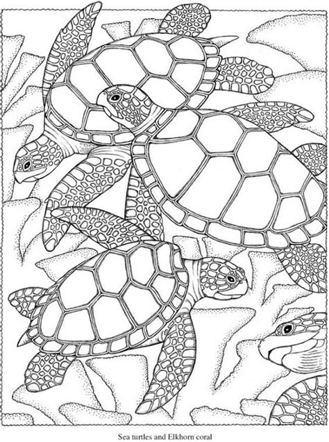 animal coloring pages for adults beach