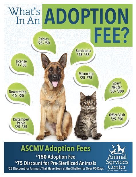 Las Cruces Pet Adoption & No Kill Shelter Safe Haven