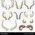 animal horns types png