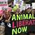 animal liberation march san francisco