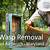animal removal bel air md
