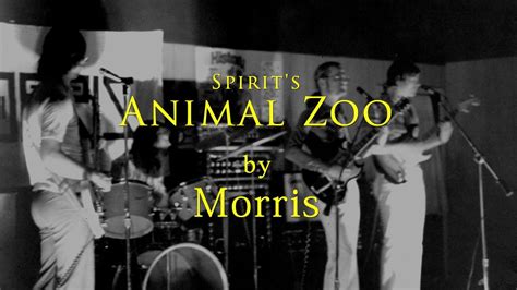 Animal Zoo Spirit