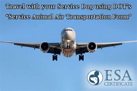 animal air transportation services
