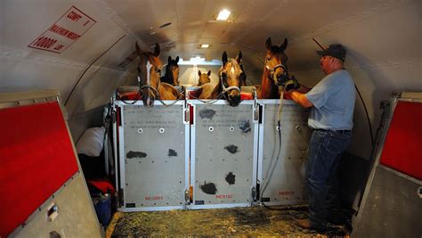 weedtime.us:animal air transportation services