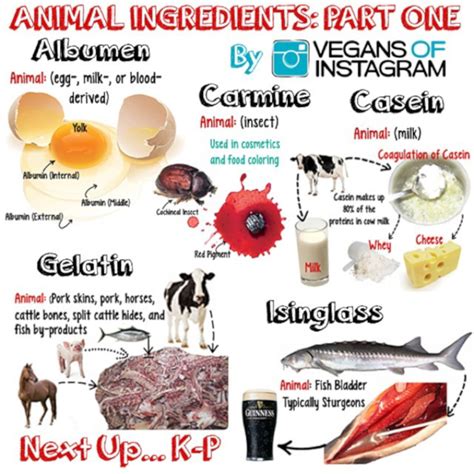 Animal Based Ingredients