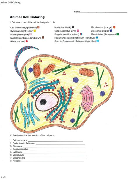 animal cells coloring worksheet