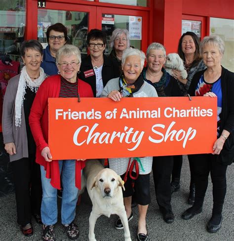 animal charities in southampton
