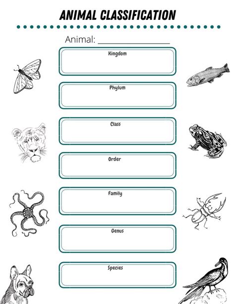 animal classification worksheet pdf high school