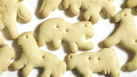 Animal Cracker Miami