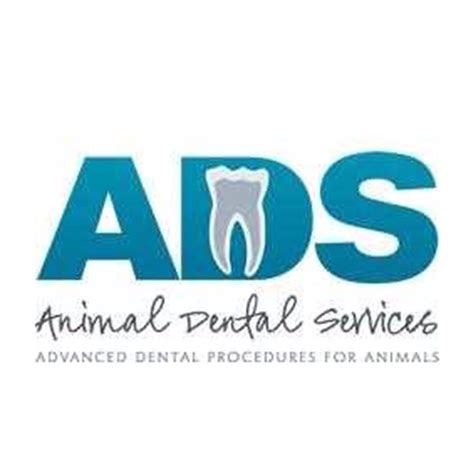 Anesthesia Animal Dental Services