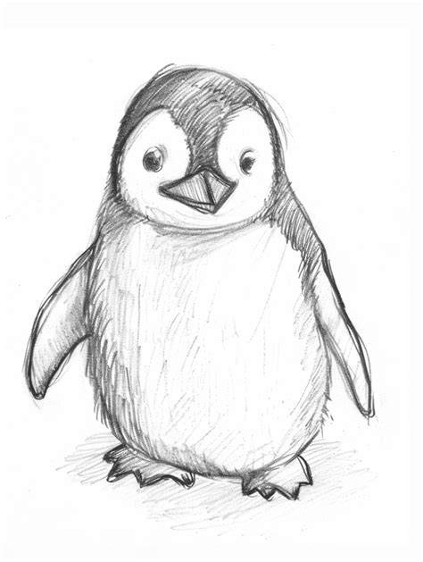 animal drawing medium