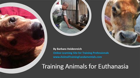 animal euthanasia training course