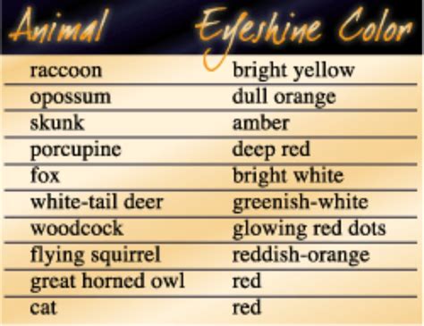 animal eye shine chart