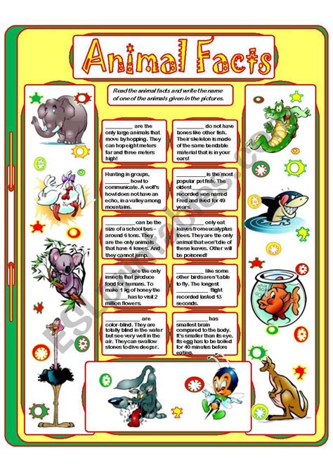 Animal Fact Sheets Printable