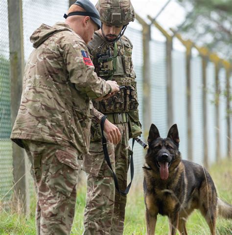 Animal Handler Training