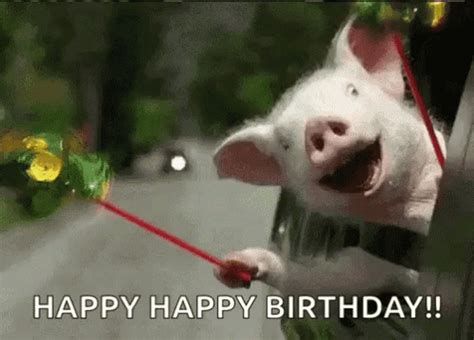 Animated Happy Birthday Animals Pictures, Photos, and
