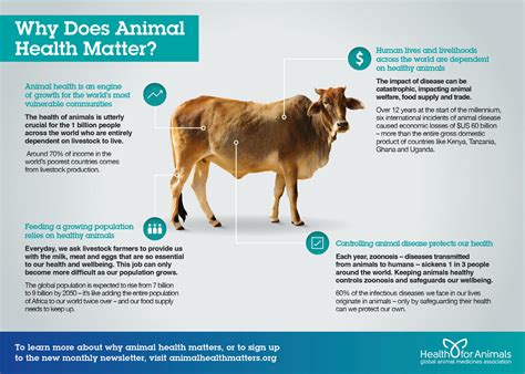 Animal Health and Wellness