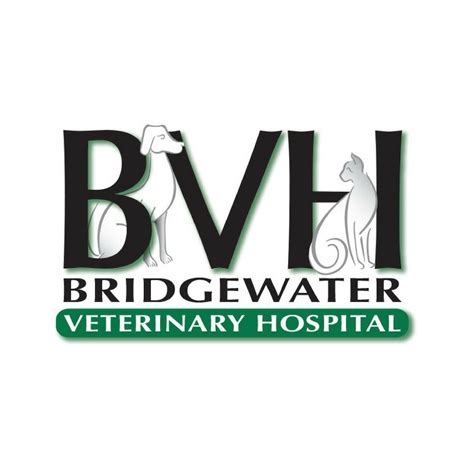 animal hospital bridgewater nj