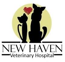 animal hospital new haven