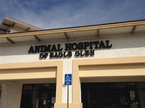 animal hospital of eagle glen