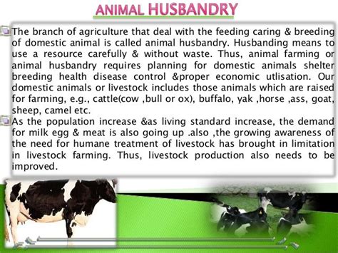 animal husbandry definition and importance