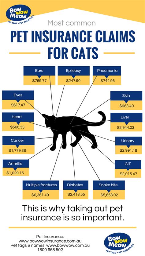 animal insurance for cats cost