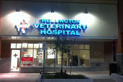 animal medical clinic at wellington