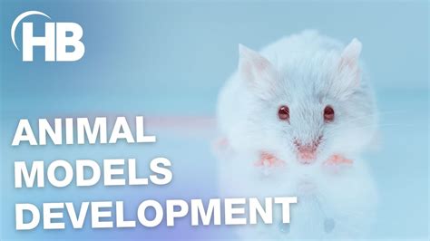 Animal Model Development
