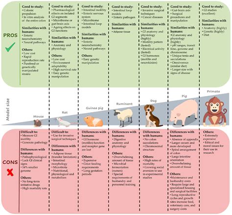 Animal Model For Constipation