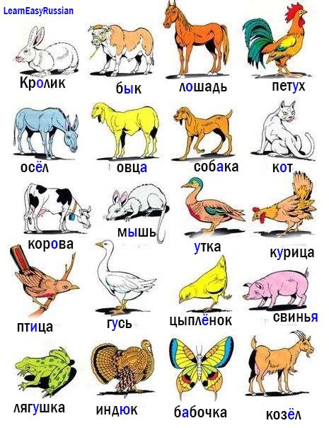 animal names in russian