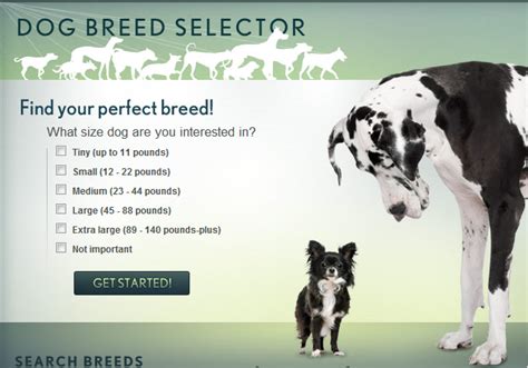 animal planet dog breed selector quiz