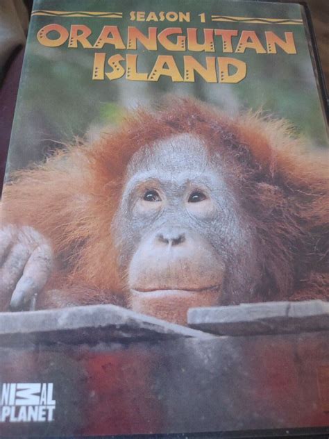 animal planet orangutan island