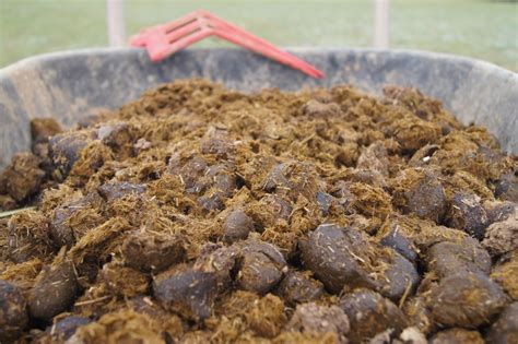 farm animal poop fertilizer