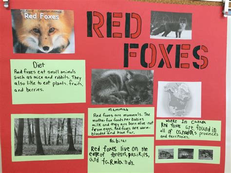 animal presentation topics for students