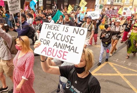 Animal Rebellion Ireland