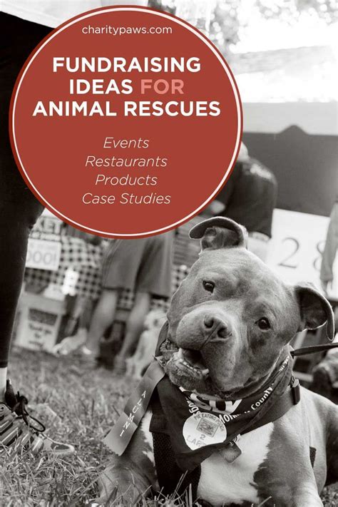 animal rescue fundraising ideas