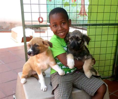 animal shelter in trinidad and tobago
