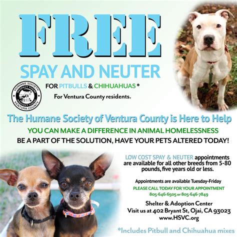animal shelter spay and neuter