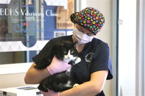animal shelter spay and neuter clinic