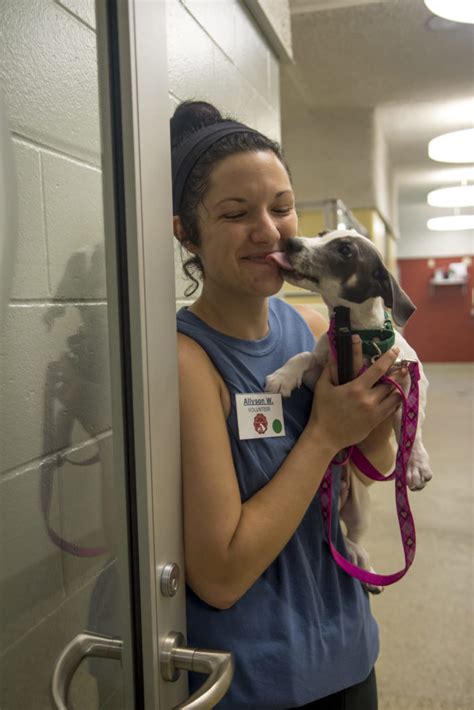 Animal Shelter Near Me Hiring 16 Year Olds