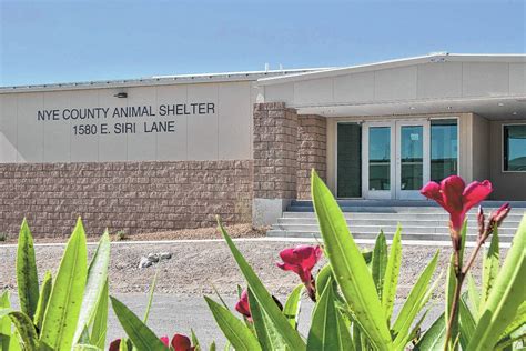 animal shelters in pahrump nv