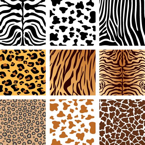 Zebra Pattern Design · Free vector graphic on Pixabay