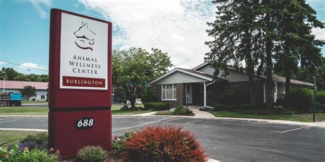animal wellness center burlington wi