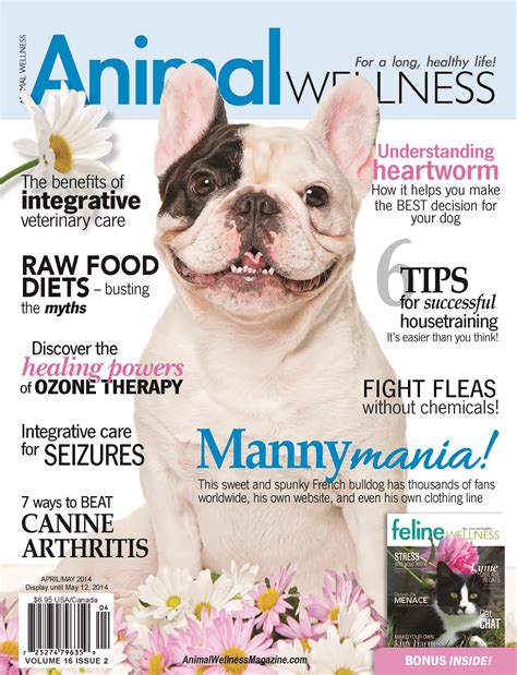 animal wellness magazine dogs