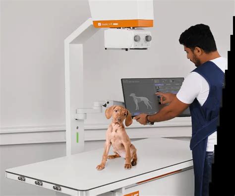 Animal X-Ray Machine