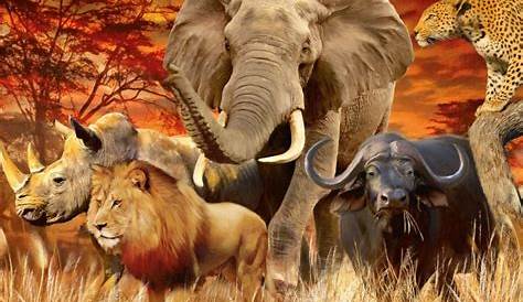 Qué animales viven en la sabana africana - nombres y fotos