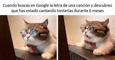 Humor Meme Fotos de animales graciosos, Memes divertidos, Memes