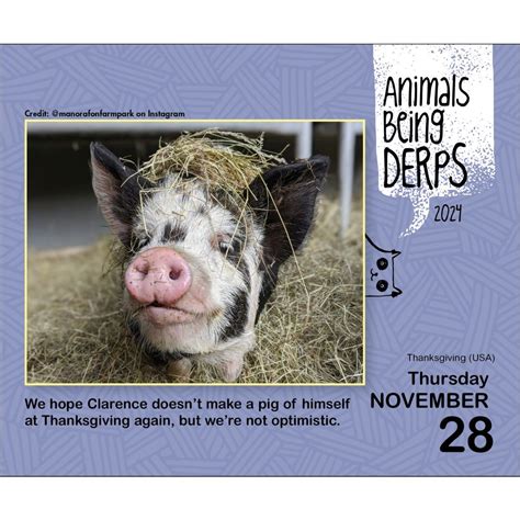 Animals Being Derps 2024 Day-To-Day Calendar 2024